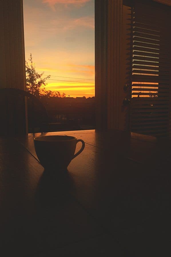 Portrait of the DailyLifeStyleTips creator